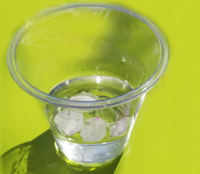 japanese-drink-sake-hanami