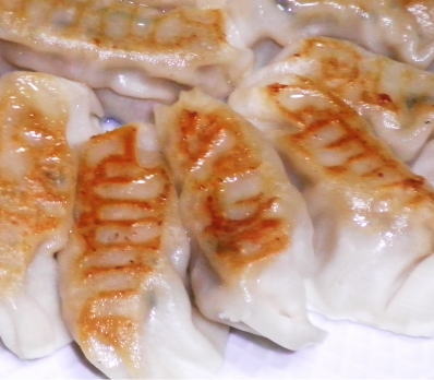 japanese-food-gyoza