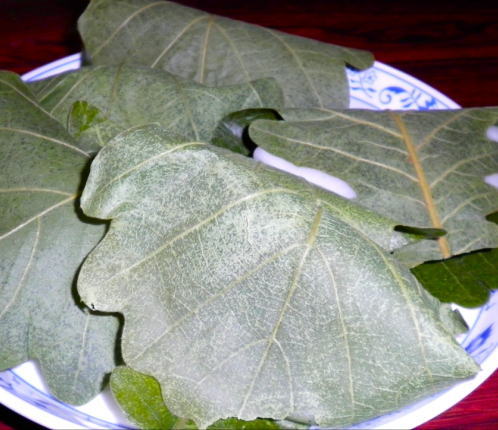 japanese-food-kashiwa-mochi