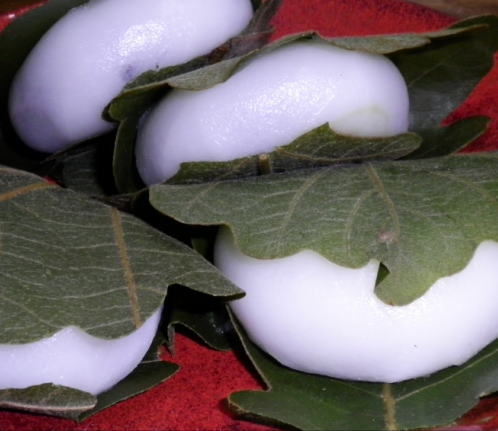 japanese-food-mochi-daifuku