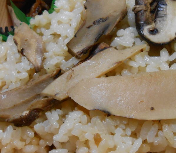japanese-food-matsutake-gohan