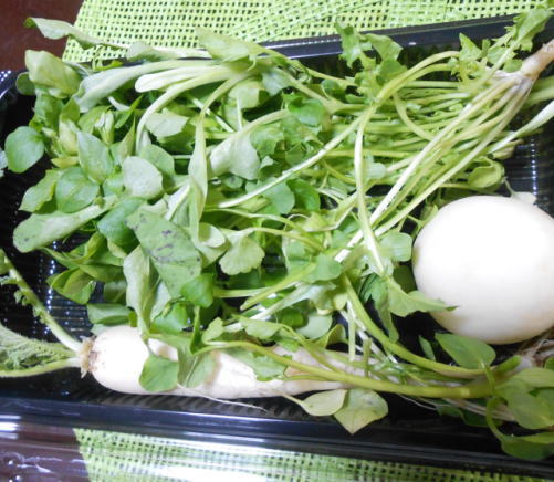 japanese-food-nanakusa