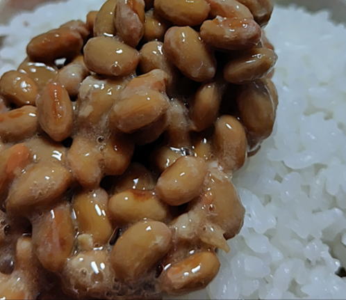 japanese-food-zoni