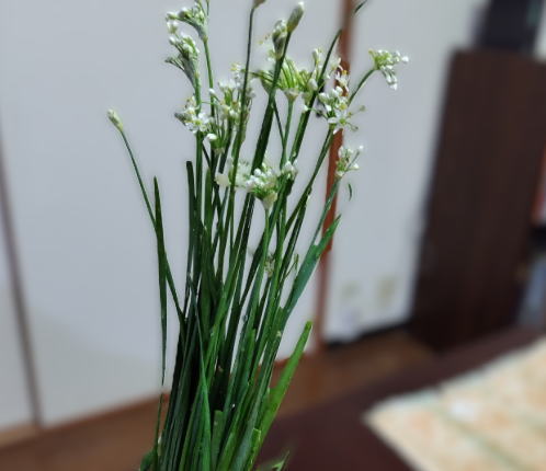 japanese-food-nira-hana