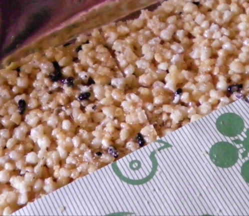 japanese-food-okoshi