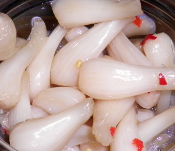 japanese-food-rakkyo