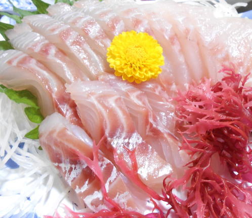 japanese-food-sashimi-tai