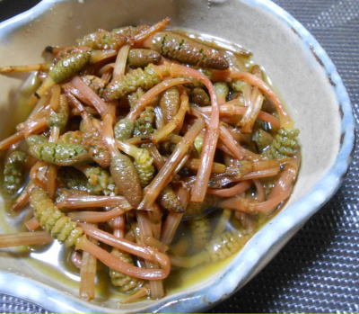 japanese-food-tsukushi-nimono