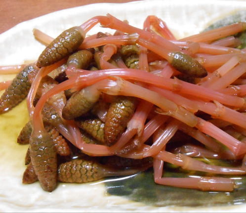japanese-food-tsukushi-ohitashi
