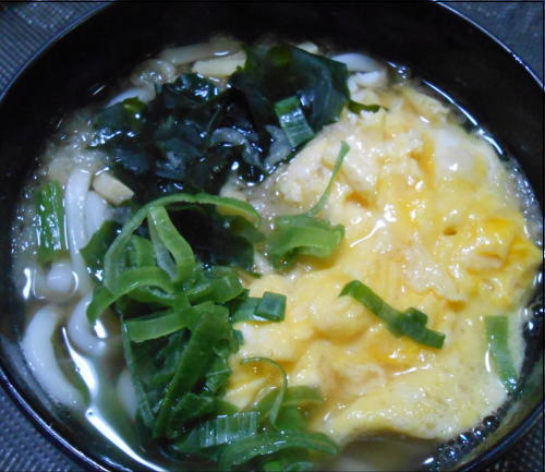japanese-food-udon-wakame