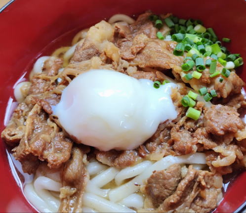 japanese-food-udon-niku