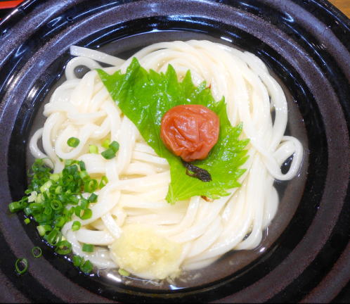 japanese-food-udon-ume