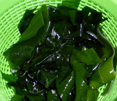 japanese-food-wakame
