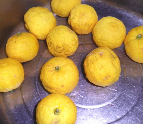 japanese-food-yuzu