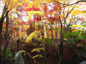 kabusanji temple in Japan